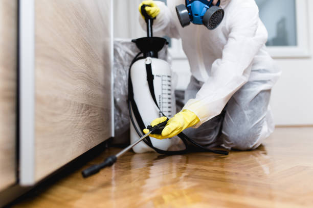 Best Best Pest Control Companies  in Staples, MN