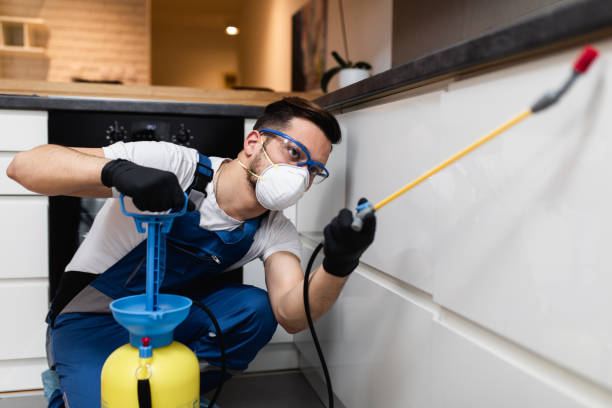 Best Pest Removal Services  in Staples, MN