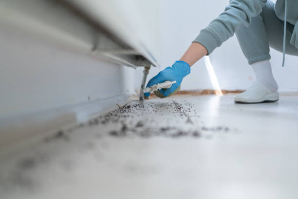 Best Pest Prevention Services  in Staples, MN